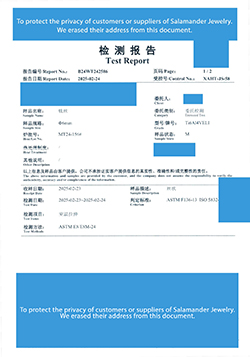 TITANIUM TZ2025-49881 (2025-02-24)